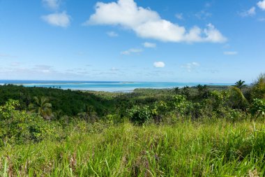 Güney Pasifik adasının yüksek manzarası