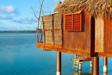 Tropik adanın kıyılarında palmiye yapraklı sazdan çatısı olan sakin bir dağ evi..