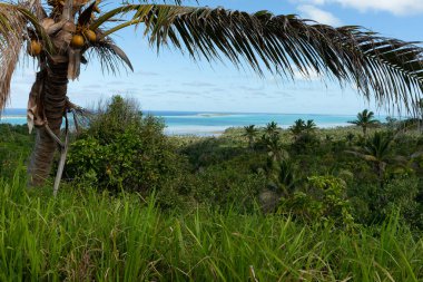 Aitutaki Adası 'nın yüksek noktasından yeşil kara ve hindistan cevizi palmiyesi yaprakları arasına bakın..