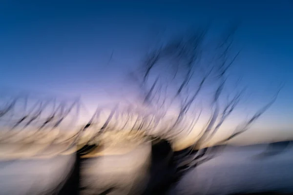 Motion Blur Bare Leafless Tree Foreground Railway Bridge Blue Hour — Stock Photo, Image