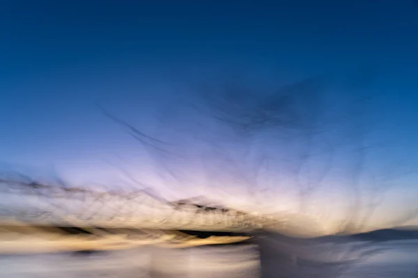 電車橋の前の青い時間に青い時間で動きのぼやけた葉のない木タウランガ海岸 — ストック写真