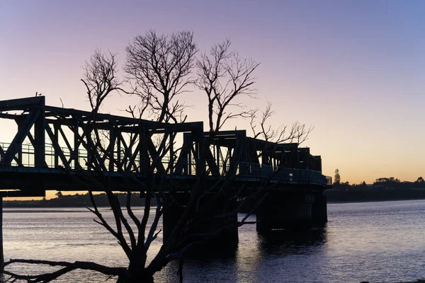 Kahler Blätterloser Baum Vordergrund Der Eisenbahnbrücke Blauer Stunde Tauranga Ufer — Stockfoto