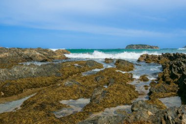 Rocky sahili manzaralı Batemans Körfezi Yeni Güney Galler 'de