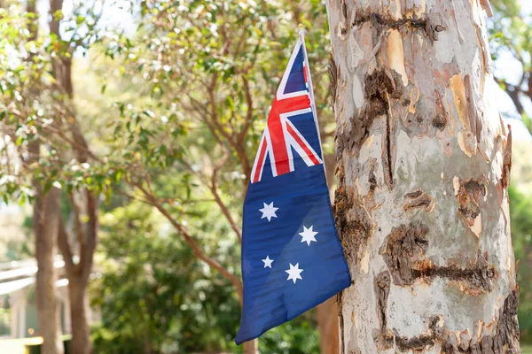 Australian flag on tree blowing in  bush
