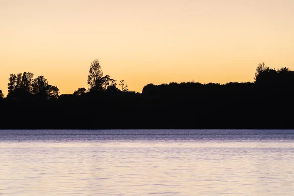 Land Trees Silhouette Horizon Sunrise Bay — Stock Photo, Image