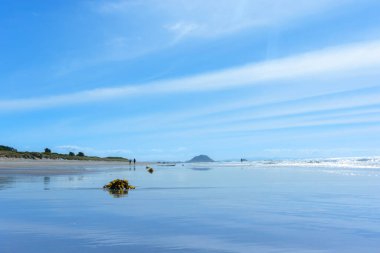 Maunganui Dağı 'na kadar Papamoa plajı boyunca manzara.