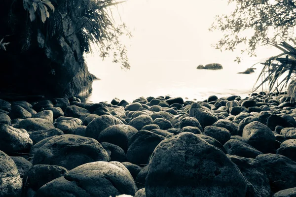 近くの石に焦点を当て選択的に小さな日陰の湾の水のセッジで岩 — ストック写真