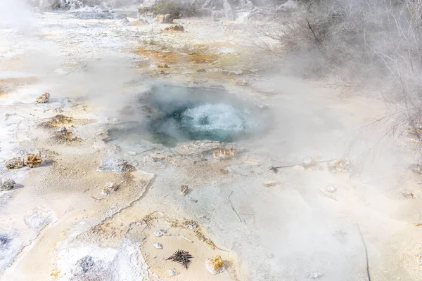 Теплий Басейн Гарячої Води Геотермальному Ландшафті Оракей Корако — стокове фото