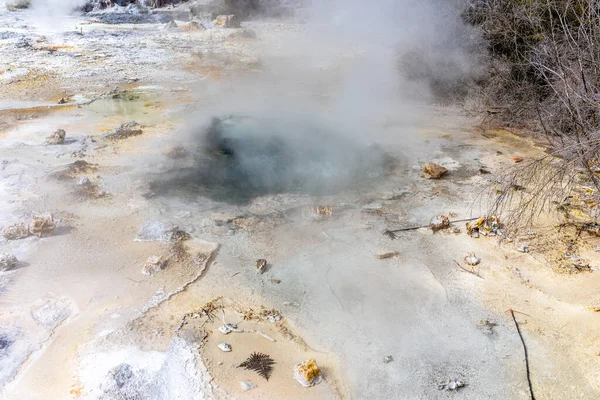 Orakei Korako Jeotermal Arazisinde Buharlı Sıcak Havuzu — Stok fotoğraf