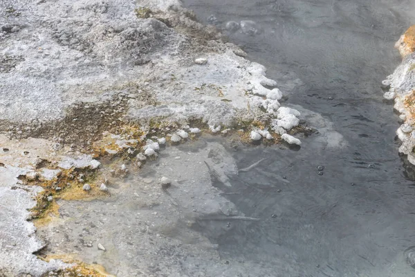 Formazioni Silice Bianca Orakei Korako Paesaggio Geotermico Nuova Zelanda — Foto Stock