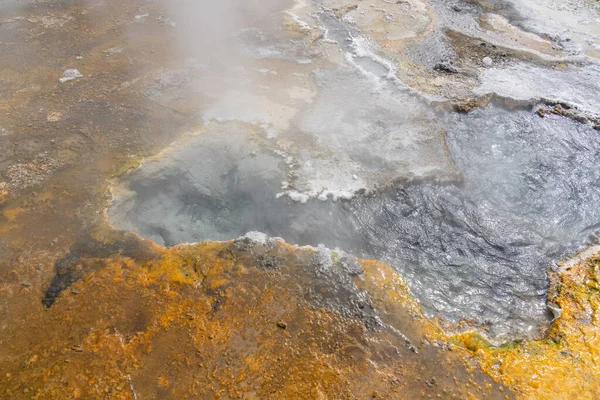 Orakei Korako Kaynayan Buharlaşan Sıcak Havuz Yeni Zelanda Jeotermal Manzarasında — Stok fotoğraf