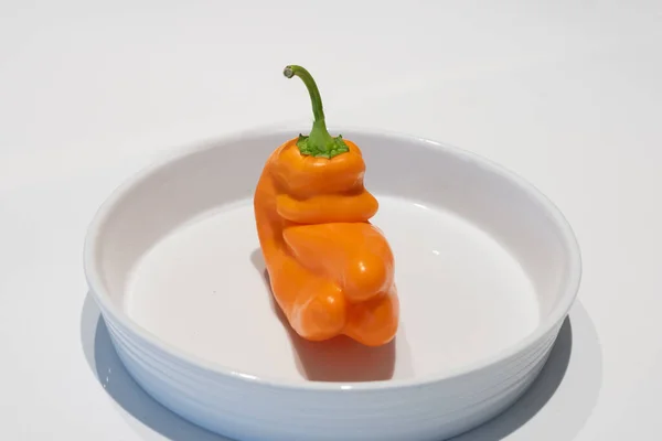 在白碗中隔绝的不寻常形状的辣椒 — 图库照片