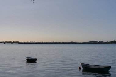 Alacakaranlık Tauranga Limanı üzerinde uzak demiryolu köprüsü kirişleri açık mavi gökyüzü ve ufukta hafif altın rengi