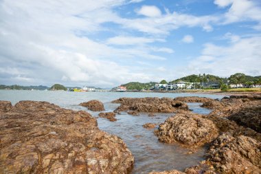 Feribot iskelesi için Paihia rıhtım manzarası.