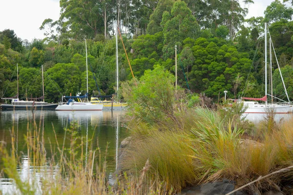 Kerikeri 'deki küçük çalılık körfezde demirli tekne ve yatlar..