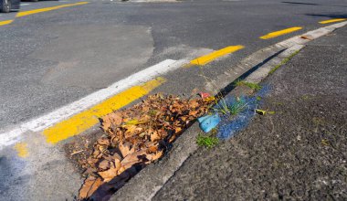 Tauranga caddesinde fırtına üstüne kanalizasyon tıkandı.