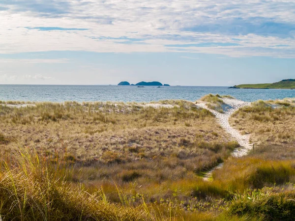 Sandpfad Führt Durch Strandvegetation Und Düne Zum Wasser Bei Mangonui — Stockfoto