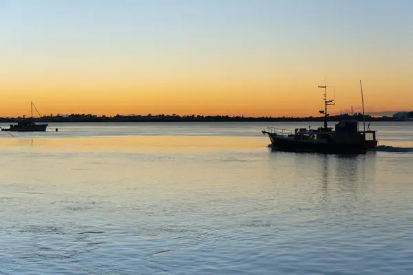 Εμπορικό Αλιευτικό Σκάφος Αφήνοντας Tauranga Πρωί Φως Σιλουέτα — Φωτογραφία Αρχείου