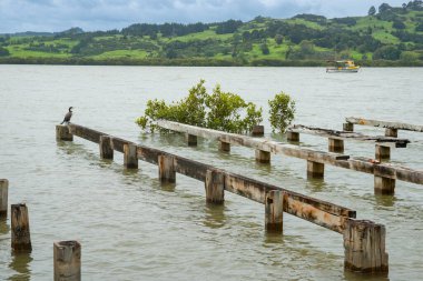 Kokukoku Northland Yeni Zelanda 'daki eski rıhtımın kalıntıları..