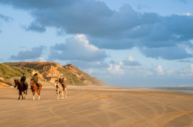Üç at ve binici, Bayleys Sahili boyunca yol ve araba izlerinin olduğu bir mesafeden yaklaşıyor..