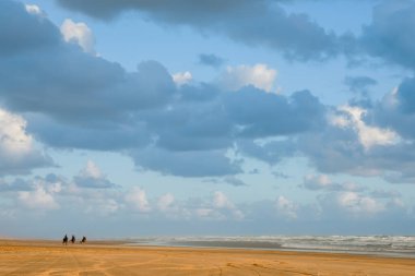 Üç at ve binici, Bayleys Sahili boyunca yol ve araba izlerinin olduğu bir mesafeden yaklaşıyor..