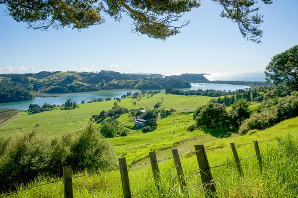 ニュージーランドのノースランドの典型的な農村部の海岸風景 — ストック写真