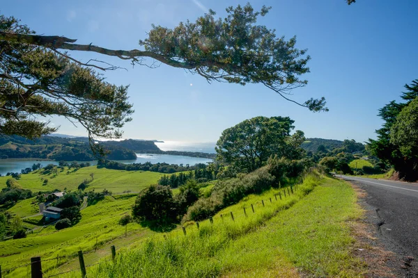 Typically Rural Coastal Landscape Northland New Zealand — Stock Photo, Image