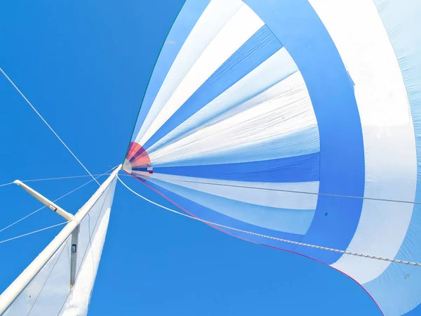 Wielki Niebieski Biały Spinaker Żagiel Pełen Wiatru Nad Głową Przeciwko — Zdjęcie stockowe