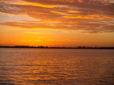 Tauranga Limanı 'nın üzerinde parlak sabah güneşinin çarpması.