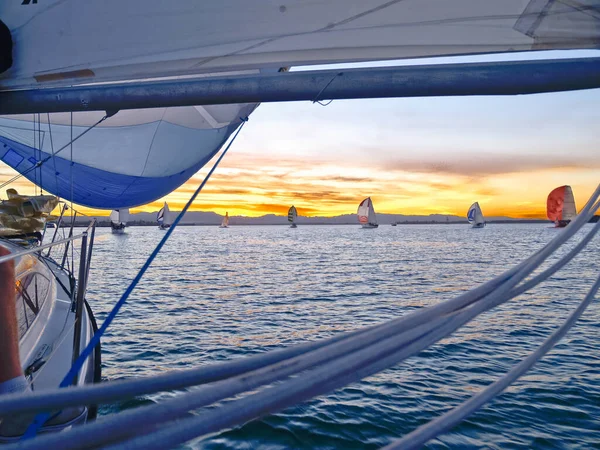 View Rigging Other Yachts Sailing Sunset Tauranga Harbour — Stock Photo, Image