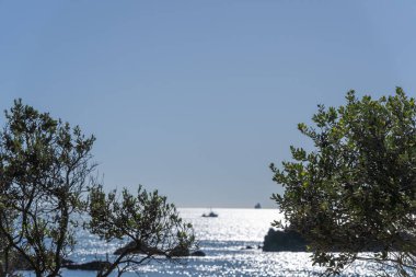 Maunganui Dağı 'ndan gelen siluet pohutukawa ile ufukta parlayan denizden gemiye bir göz at