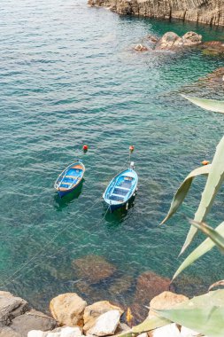 İtalya 'nın Cinque Terre kentindeki Riomaggiore koyundaki tipik Avrupa tekneleri.