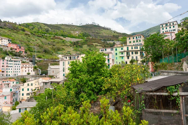 Terrace Houses Terraced Hillsides Back Garden Riomaggiore Cinque Terre Italy — Stock Photo, Image