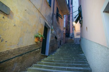 Cinque Terre, Riomaggiore Italya 'daki geleneksel deniz kenarı köyündeki binalar arasındaki merdivenlerin yanındaki kaplarda çeşitli sarmaşıklar büyüyor..