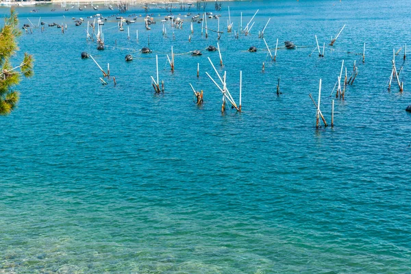 Scenic Bay Portovenere Stick Structure Traditional Mussel Cultivation Water Olaszország — Stock Fotó