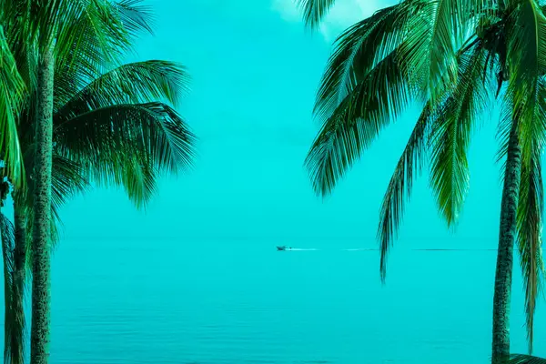 Palm Tees Pacific Island Ocean Scene Fiji — Stock Photo, Image