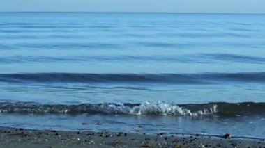 Yumuşak mavi dalgalar alçak ses arkaplanlı kumsalda.