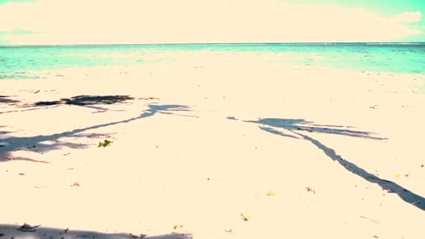 Vybledlý Film Efekt Větrem Foukané Tropické Kokosové Palmy Stíny Pohybující — Stock video