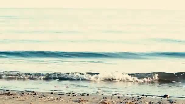 Пляже Скатываются Небольшие Волны — стоковое видео