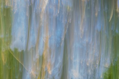 Kasıtlı kamera hareketi arkaplanı kullanarak soyut doğa bulanıklığı.