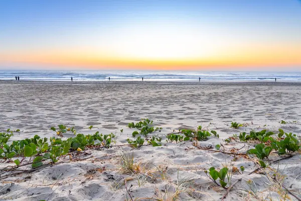 Sörfçüler Cenneti - 19 Eylül 2023; Sörfçüler Paradise plajında uzak sularda önemsiz insanlarla gün doğumu