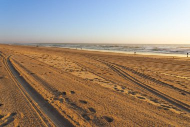 Sörfçüler Paradise Australia - 21 Eylül 2023; Kum tımarcısı geniş kayın üzerinde kıyılara ve denize giden izler.