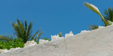 Üzerinde beyazlatılmış deniz kabukları olan beyaz alçı duvarın tropikal arkaplan resmi. Yeşil bitki örtüsü ve arkasında mavi gökyüzü..