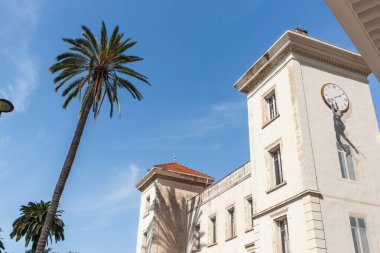 Cannes, French Riviera. - 3 Mayıs 2011; Eğik palmiye ağacıyla Akdeniz tarzı görüntü ve saat başında sallanan adamın resmi .