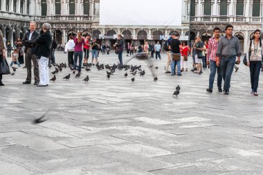 Venice Italy - May 10 2011; crowd of tourists and pigeons in St. Mark's Square