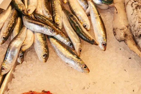 Small fish on ice in Rialto Italian night market stall