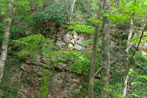 İtalya 'nın Umbria bölgesindeki ağaçların arasından Cucco Dağı' ndaki kayalık.