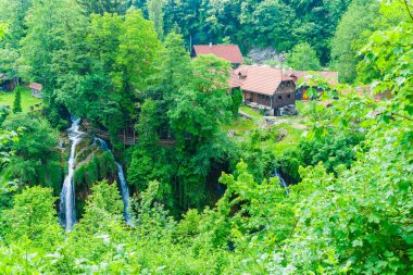 Şelale köyü veya Hırvatistan 'ın Rastoke kentindeki lüks ağaçlar ve ormanlar