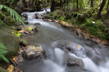 Tongariro Alp Parkı 'ndaki Ketetahi Pisti' nin vahşi doğasından buhar akıyor..