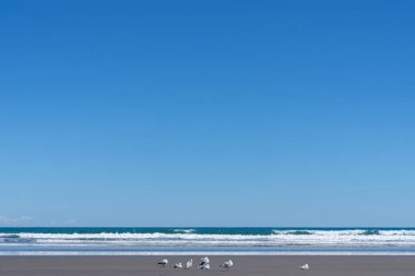 Opunake sörf plajı batı kıyısı siyah kum, mavi gökyüzü ve su.